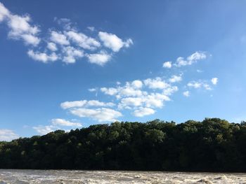 Scenic view of trees against sky