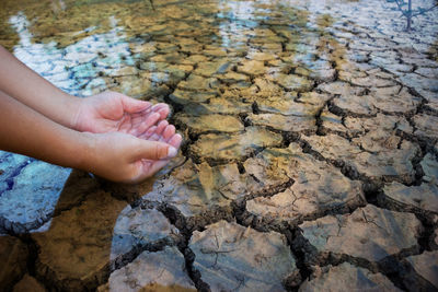 Cropped hands of person in water