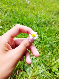 Close-up of hand holding flower on field