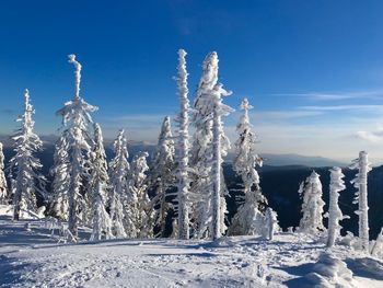 Panoramic view of snow covered land against sky