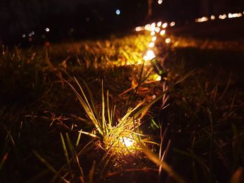 Close-up of illuminated lights on field at night