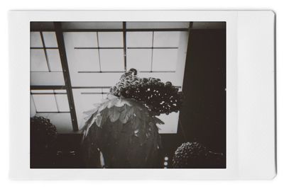 Close-up of glass window