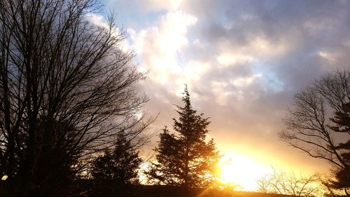 Silhouette trees against sky during sunset