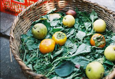 High angle view of fruits in basket