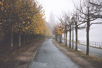 Street amidst trees against sky during autumn