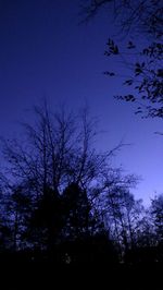 Low angle view of bare trees against sky