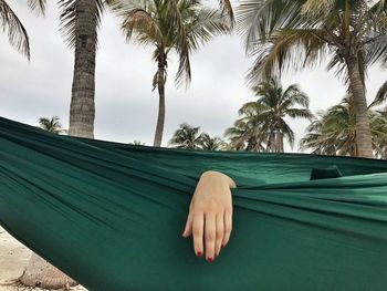 Man lying down on hammock by palm trees against sky