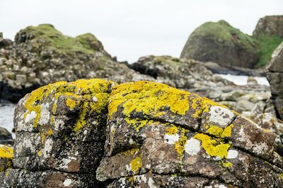 Close-up of yellow rock by sea against sky