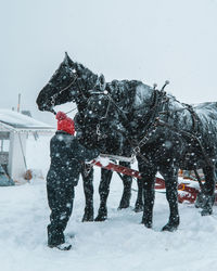 Sleigh ride during a blizzard