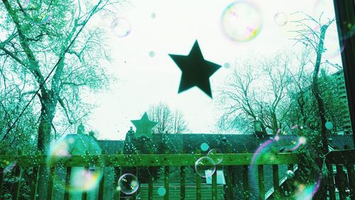 Reflection of bare trees in water