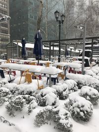 Snow covered trees and buildings in city