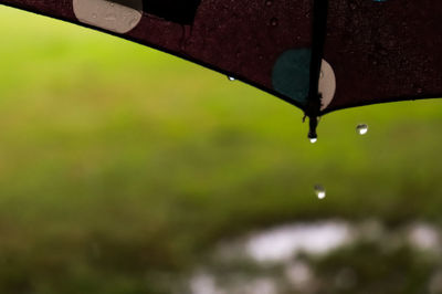 Raindrops on leaf