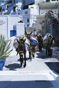 People walking on street