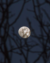 Low angle view of moon against sky at night