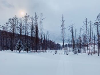 Trees on snow covered field against sky