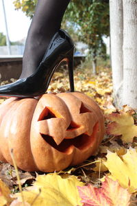 Close-up of pumpkin on halloween during autumn