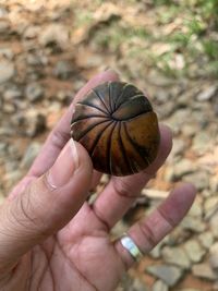 Close-up of hand holding leaf