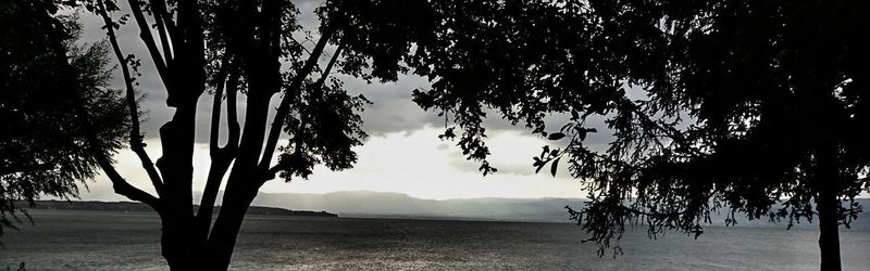 Silhouette trees against sky
