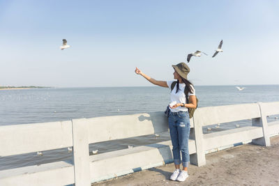 View of seagull on beach