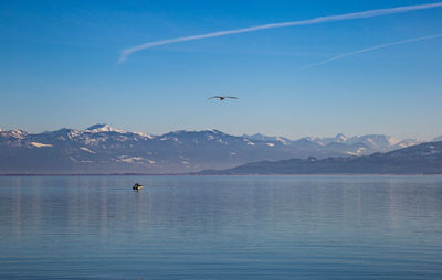 Birds flying over sea and mountains