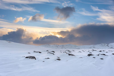 Snow covered mountains with rocks in arctic environment at sunset