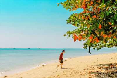 Man walking on sand against sea at beach