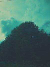 Low angle view of trees against sky