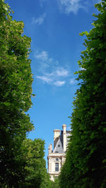 Low angle view of trees and building against sky
