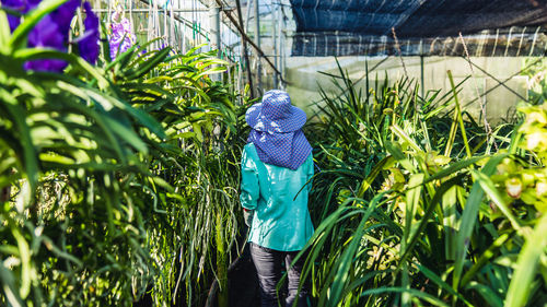 Rear view of female researcher walking amidst plants in greenhouse