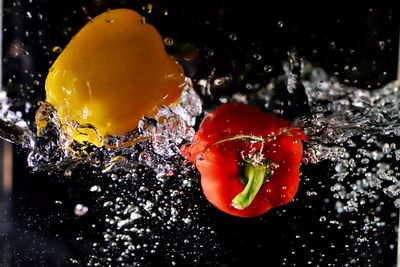 Close-up of red berries on water