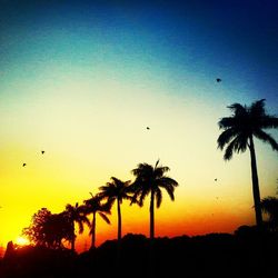 Low angle view of silhouette trees at sunset