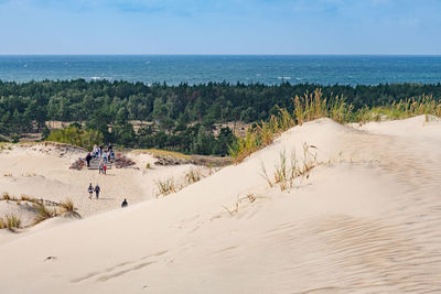 View of baltic sea from nagliai nature reserve in neringa, lithuania. dead dunes, sand hills 