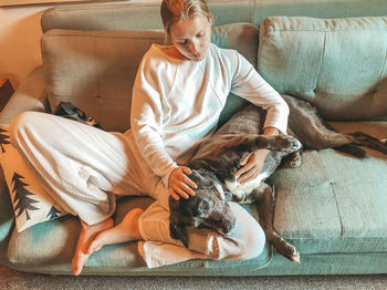 Dog relaxing on sofa at home