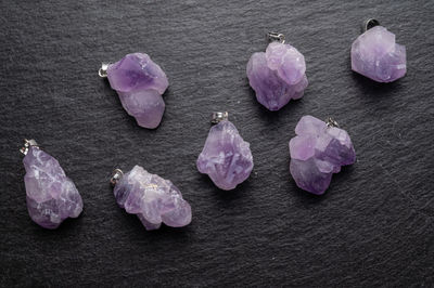 High angle view of purple flowers on table