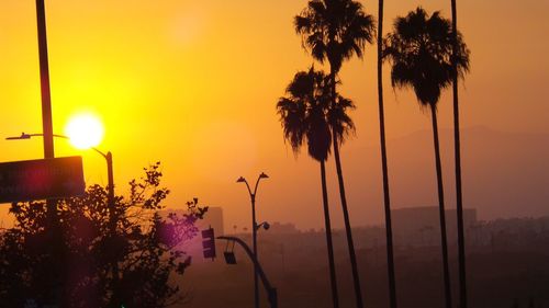 Close-up of palm trees against sky during sunset