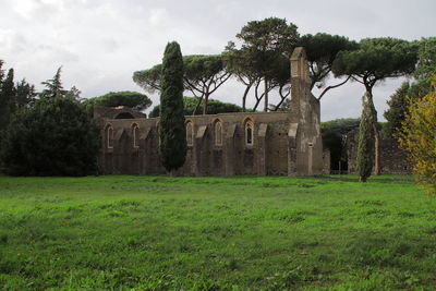 Old ruin amidst trees on field against sky