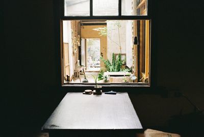 Potted plant on table by window at home