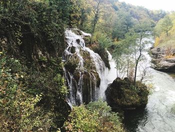 Scenic view of waterfall in forest