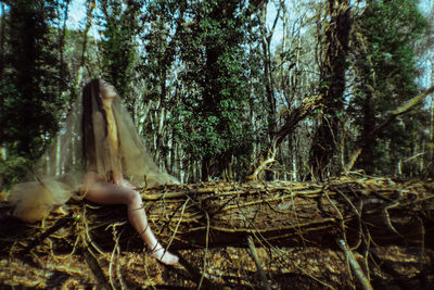 Side view of young woman covered in tulle netting while sitting at forest
