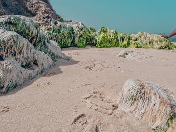 Scenic view of desert