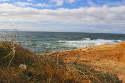 Scenic view of beach against sky