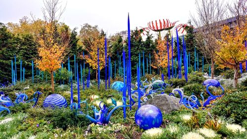 Multi colored trees in park