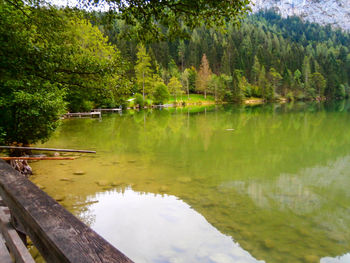 Reflection of trees in lake