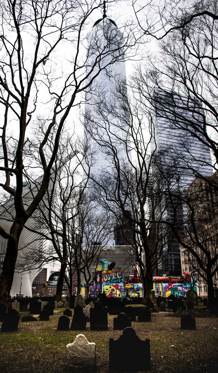 BARE TREES AND CEMETERY AGAINST BUILDING