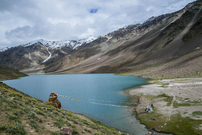 Scenic view of lake and mountains against sky