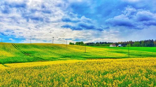 Scenic view of field against cloudy sky