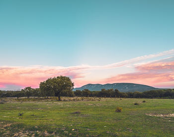 Scenic view of field against sky at sunset