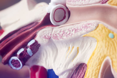 Close-up of hand holding cake