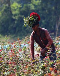 Full length of young man looking at flowering plants