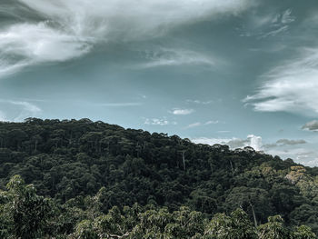 Low angle view of mountain against sky